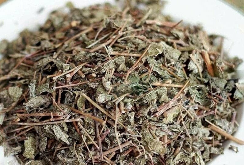 Hình ảnh đĩa trả dây được chế biến khô