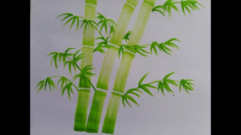 Hình ảnh cây tre vẽ đơn sơ, bình dị