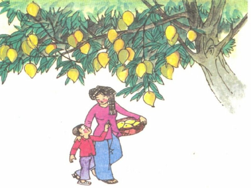 Tranh vẽ cây xoài ra quả chín nặng trĩu, che bóng mát cho hai mẹ con