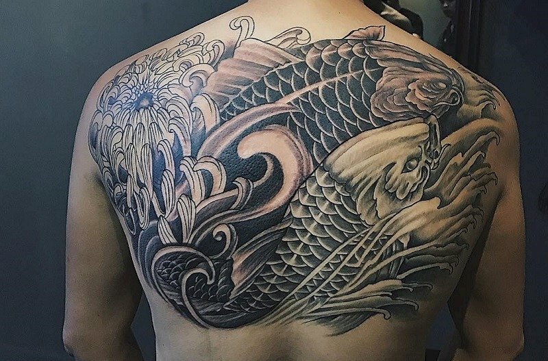 Hình đôi cá chép bơi trên mặt nước bên đáo hoa sen rất đẹp và mạnh mẽ