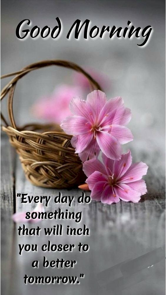 Hình ảnh giỏ hoa màu tím tuyệt đẹp chào ngày mới ý nghĩa