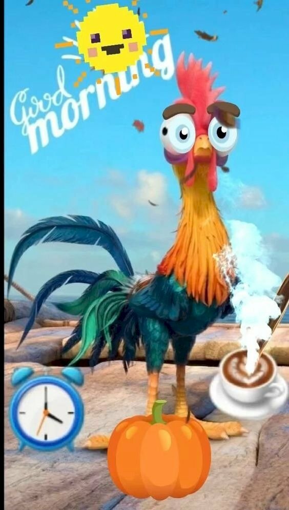 Hình ảnh gà trống chào ngày mới hài hước