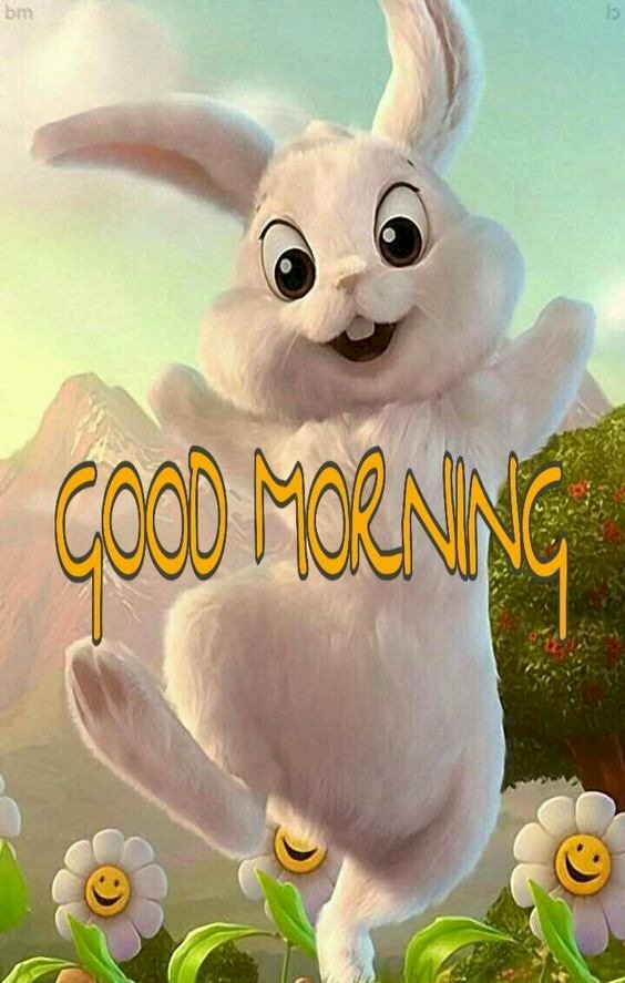Hình ảnh thỏ trắng chào buổi sáng vui vẻ