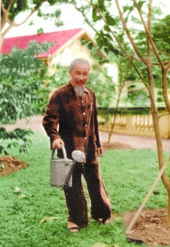 Hình ảnh Bác Hồ giản dị đang tưới cây tại Phủ Chủ tịch