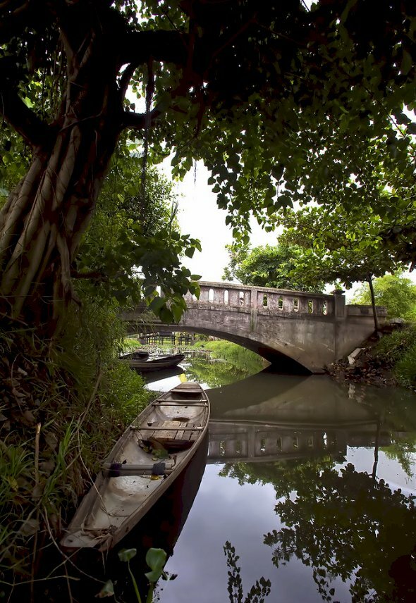 Hình ảnh những con đò dạt vào gốc đa trú nắng