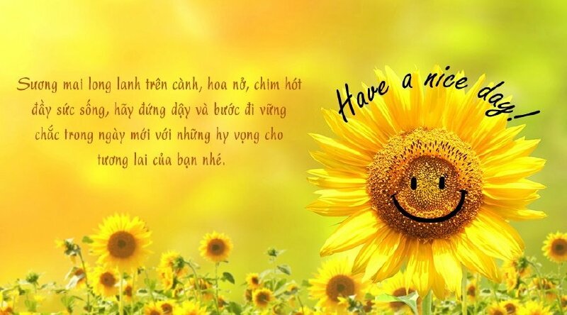 Hình ảnh hoa hướng dương có hình mặt cười chúc cho một ngày mới thật tốt lành