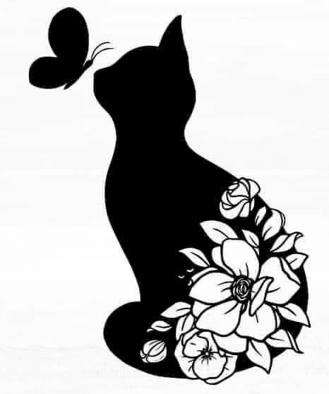 Mèo đen và trắng (42 ảnh): tên các giống mèo lông trắng và đen, mèo con màu  đen có đốm trắng trên vú