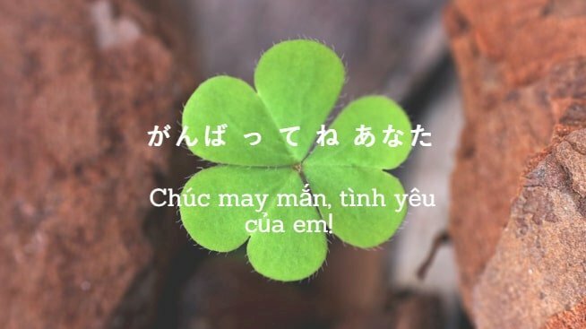 Hình hình ảnh hoa tía lá nằm trong lời nói cầu chúc vì như thế giờ đồng hồ Nhật và giờ đồng hồ Việt cho việc may mắn
