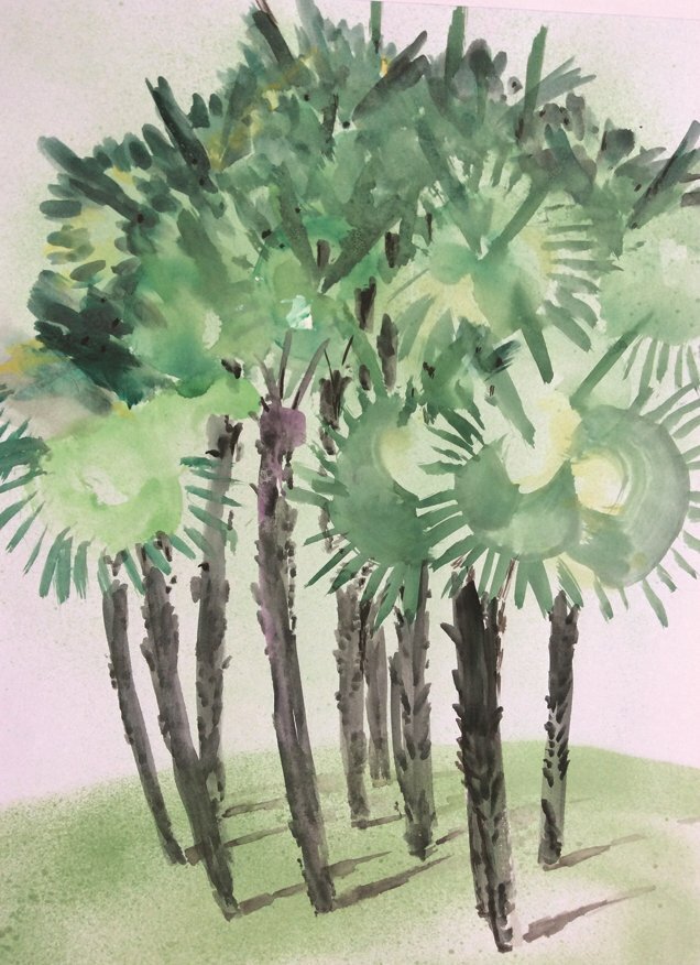 Tranh vẽ cây cọ của họa sĩ Nguyễn Quang Nam