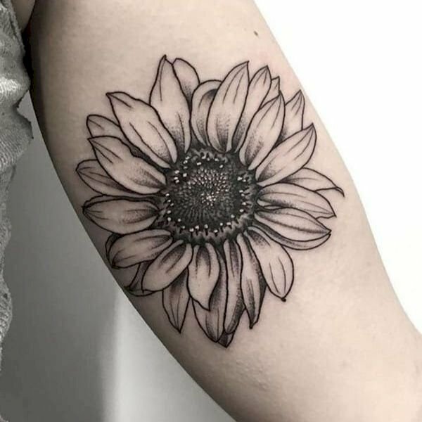 Hình xăm bông hoa hướng dương nở rực rỡ màu trắng đen trên cánh tay