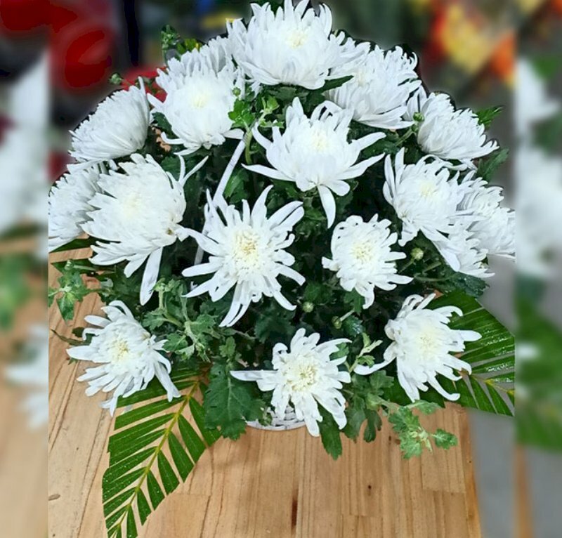 Ảnh chùm hoa cúc trắng trang trí đám tang