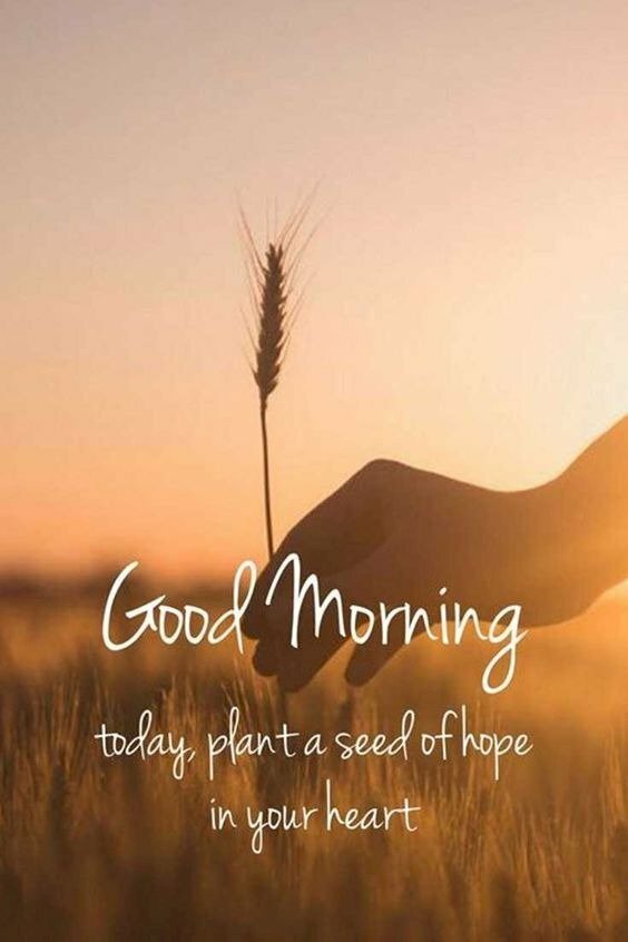 Hình ảnh chúc một ngày mới tốt lành tuyệt đẹp cùng lời nhắn nhủ tình cảm