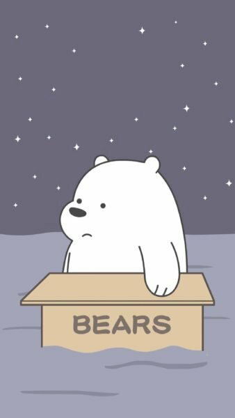 Hình hình ảnh phim hoạt hình gấu White đơn độc vô cái vỏ hộp giấy