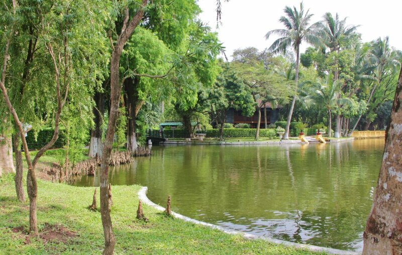 Hình ảnh cây Bụt mọc quanh ao cá cũng tạo được ấn tượng và sự tò mò với nhiều người khi mới tới đây lần đầu.