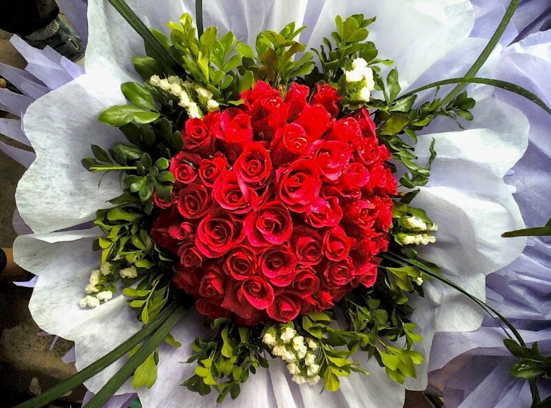 Hình ảnh bó hoa hồng được kết rất khéo léo