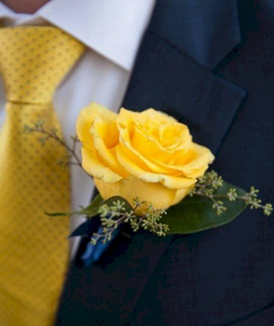 Hình ảnh hoa hồng vàng cài ngực áo chú rễ ngày cưới