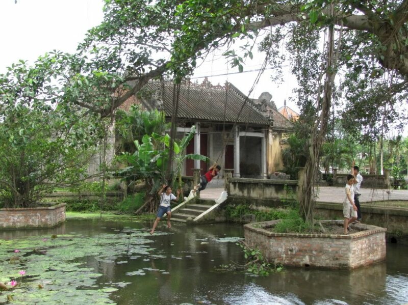 Hình ảnh về cây đa cổ thụ bến nước sân đình cùng đám trẻ nghịch dại