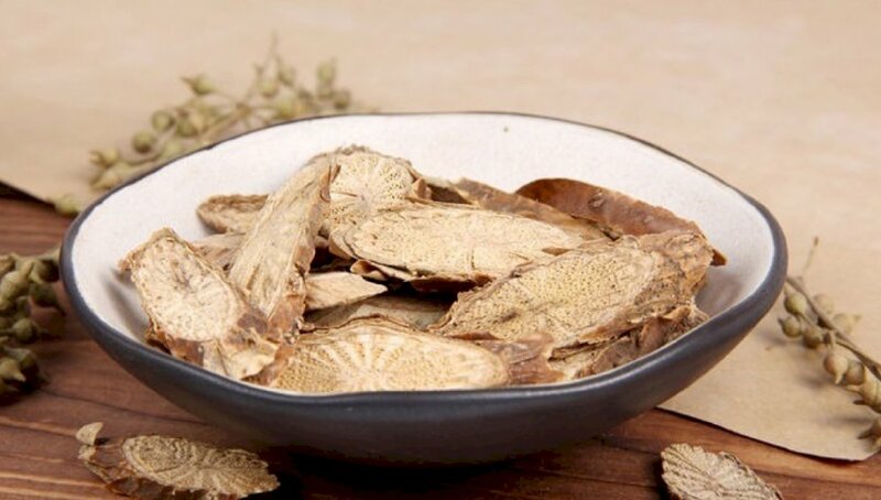 Hình ảnh chén thuốc nam cây dây đau xương công dụng Khu phong, trừ thấp, thư cân hoạt lạc và giảm đau nhức