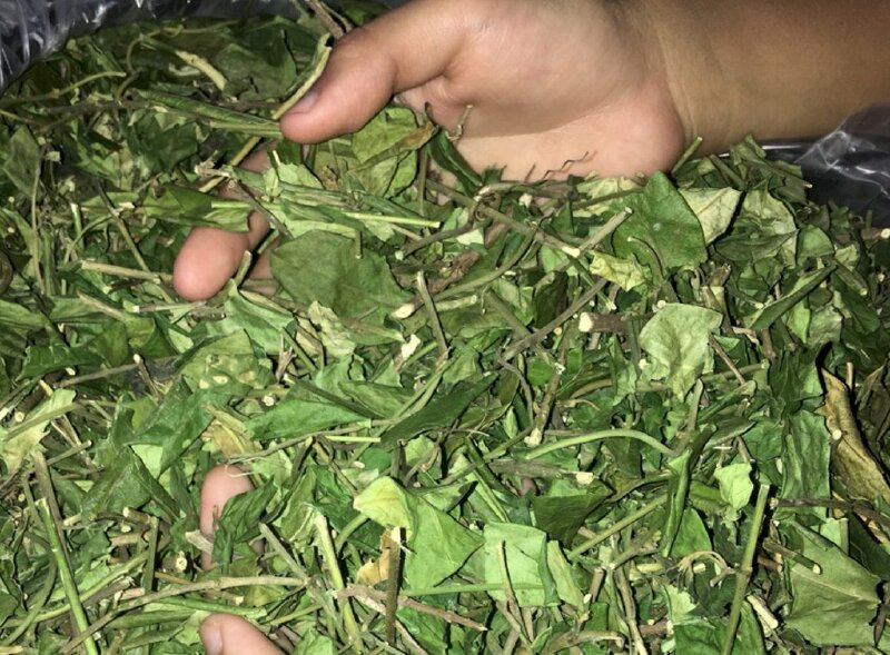 Ảnh thìa canh sấy khô mang nhiều dược tính đối với sức khỏe