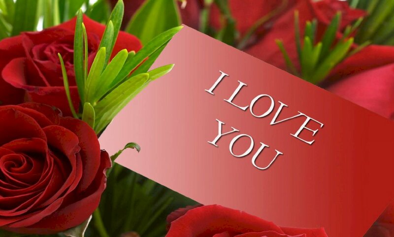 Hình ảnh những đóa hoa hồng đẹp nhất kèm dòng chữ I Love You