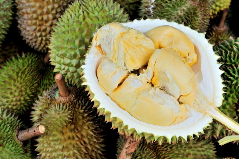 Hình ảnh những quả sầu riêng chín cùng múi sầu riêng vàng ươm, béo ngọt