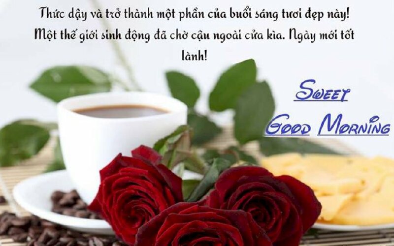Hình ảnh ngày mới yêu thương và lời chúc tốt lành
