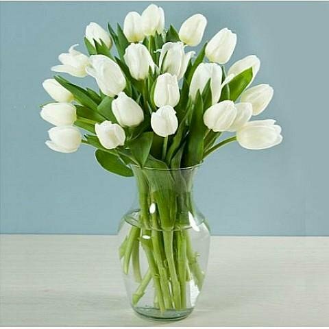 Ảnh bình hoa tulip trắng đẹp