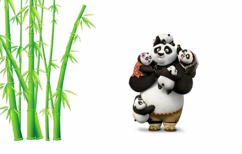 Hình ảnh về cây tre cũng những chú gấu Panda