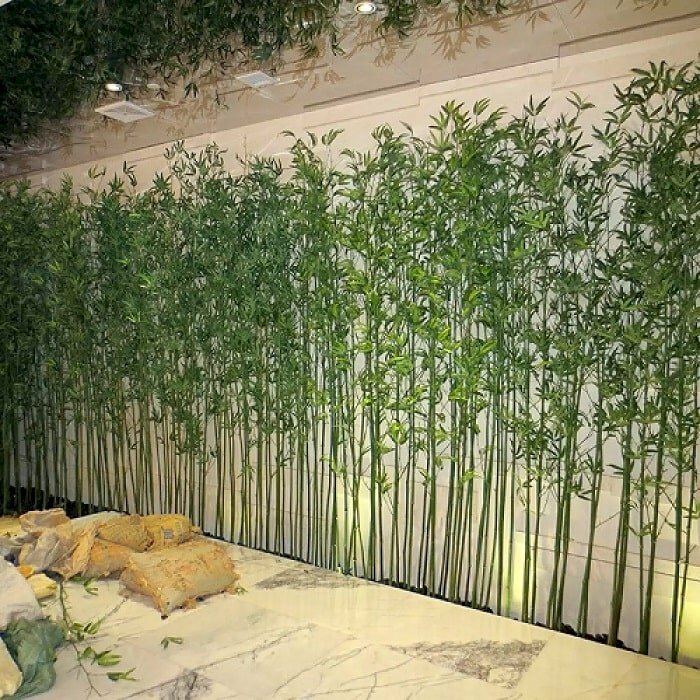 Hình ảnh giàn cây trúc quân tử trồng trang trí mang lại nét đẹp tự nhiên và xanh mát