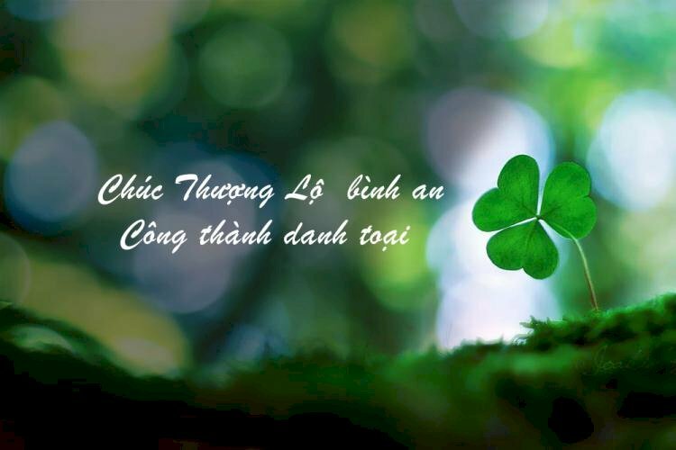 Hình ảnh chúc may mắn trong cuộc sống đẹp
