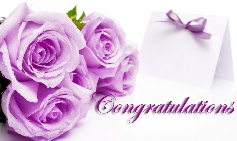 Hình ảnh hoa hồng tím tuyệt đẹp mừng cho sự thành công