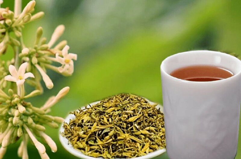 Hình ảnh trà hoa đu đủ đực giúp cải thiện bệnh đường tiêu hóa, bệnh về đường hô hấp