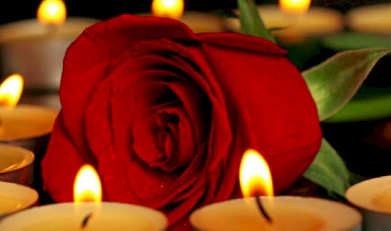 Tải hình ảnh hoa hồng đẹp lung linh bên ánh nến