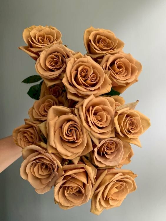 Hình ảnh bó hoa hồng màu socola đẹp rực rỡ
