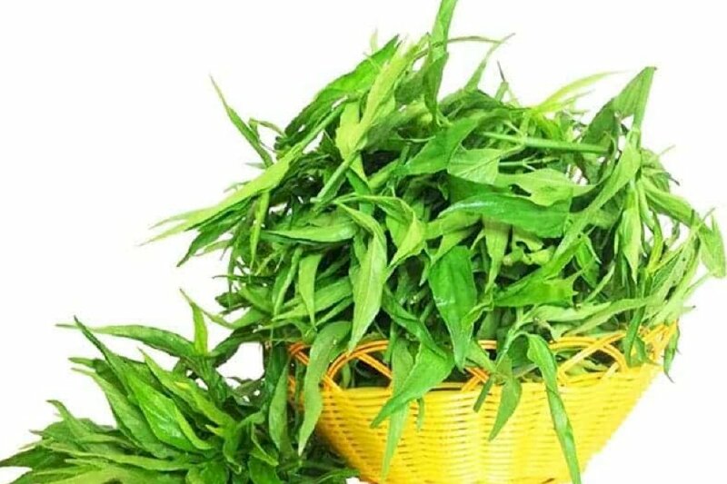 Hình ảnh rổ lá cây bìm bịp