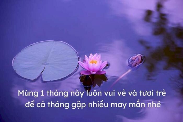 Hình ảnh đầm hoa sen cùng lời chúc luôn may mắn