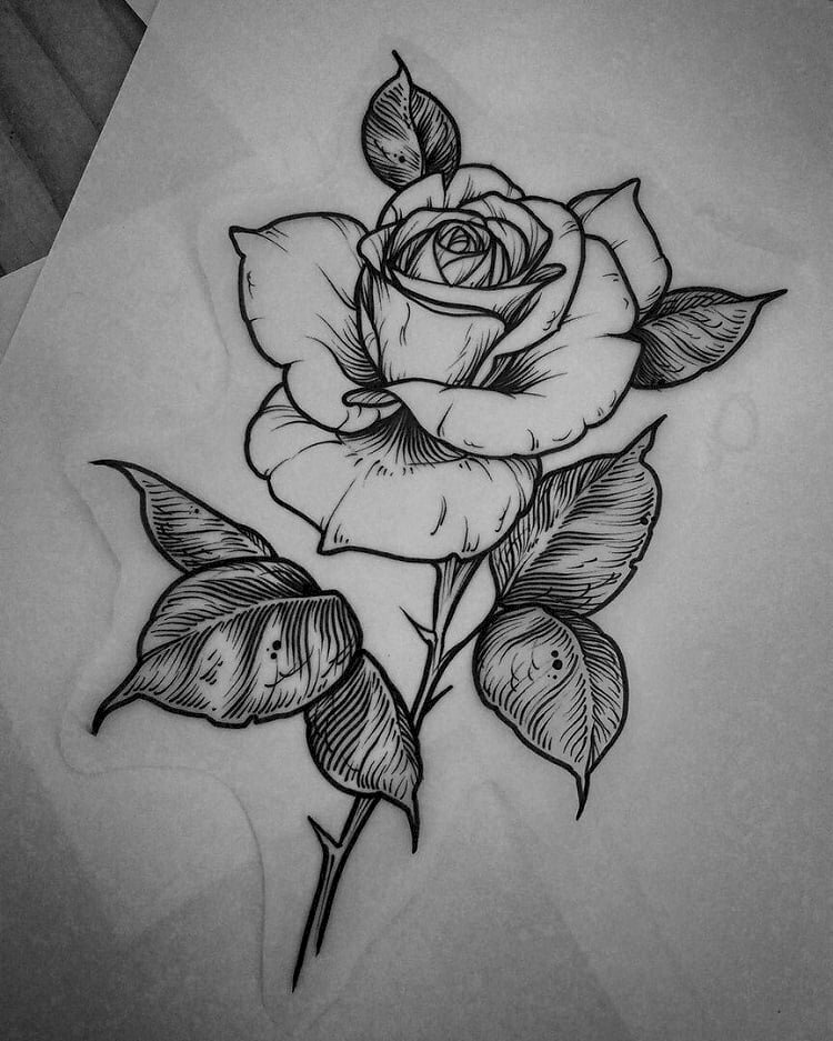 Hình ảnh tranh vẽ hoa hồng với những chiếc lá và nụ hồng nở rực rỡ