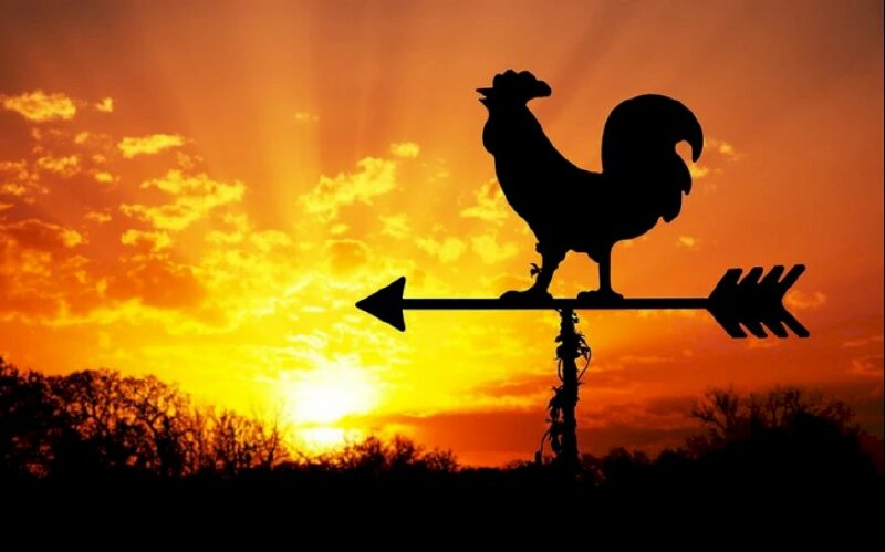 Hình ảnh mang ý nghĩa dậy sớm để làm việc và đạt mục đích