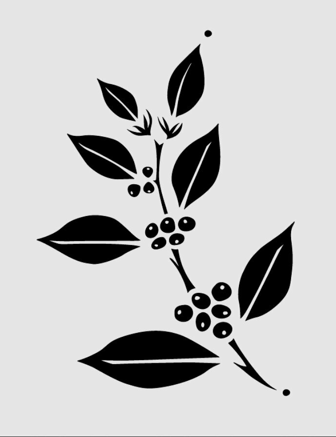 Tranh minh họa nhánh cà phê đơn giản mà nghệ thuật