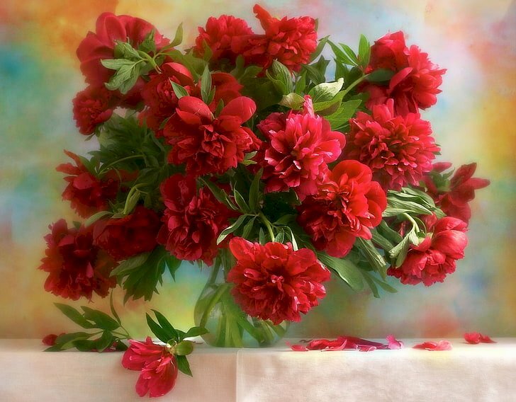 Top 101 hình ảnh hoa mẫu đơn đỏ đẹp nhất