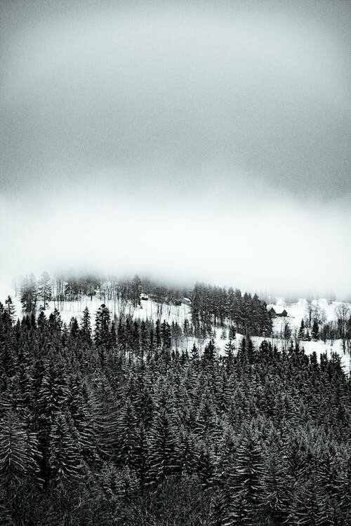 Top nhiều hơn 111 ảnh trắng đen phong cảnh siêu đỉnh - Starkid