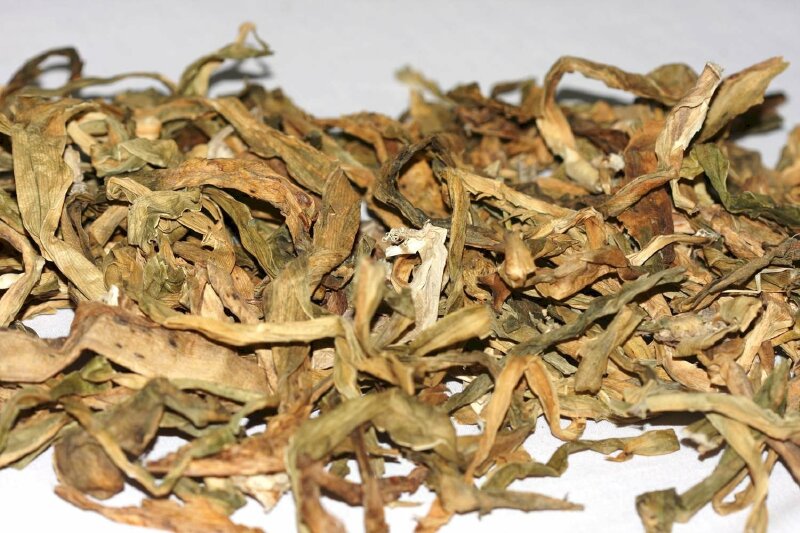 Hình ảnh lá cây trinh nữ hoàng cung sau khi phơi khô