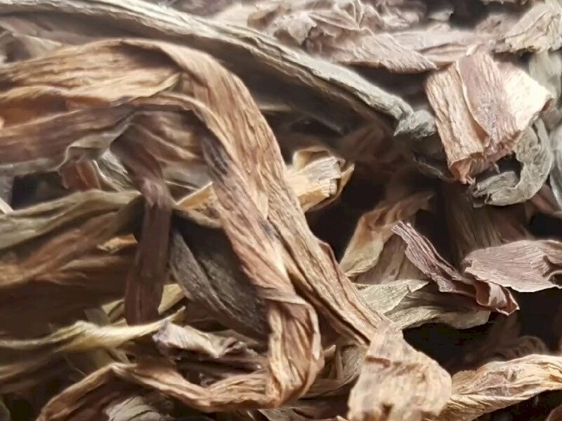 Lá trinh nữ hoàng cung khô - một dược liệu quý