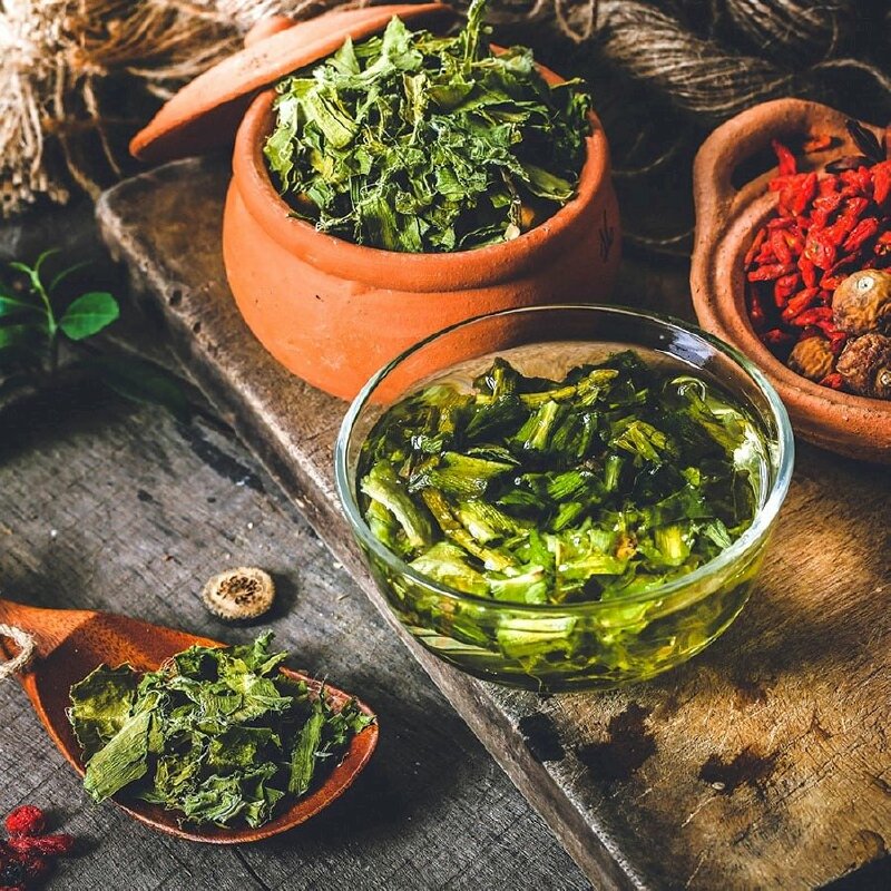 Trinh nữ hoàng cung sấy khô thuốc quý chữa bệnh