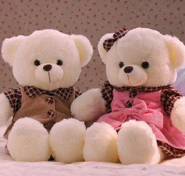 Ảnh cặp đôi gấu bông trắng cute