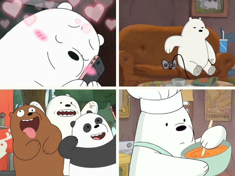 Ảnh gấu trắng trong chúng tôi đơn giản là gấu - InKyThuatSo