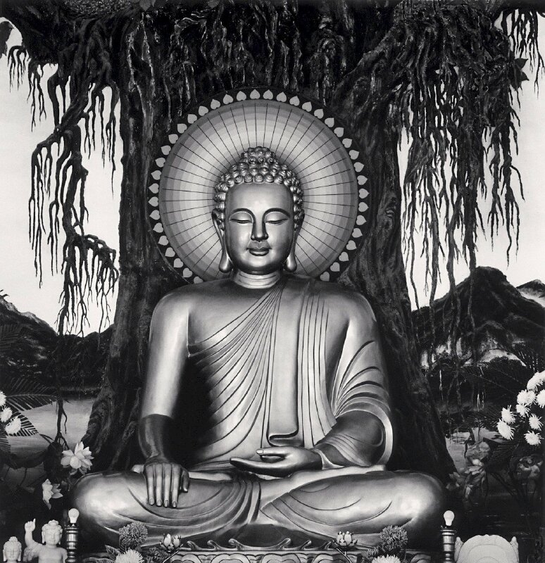 Ảnh Phật white đen sạm ngồi thiền bên dưới gốc nhiều, vầng hào quang quẻ toả sáng