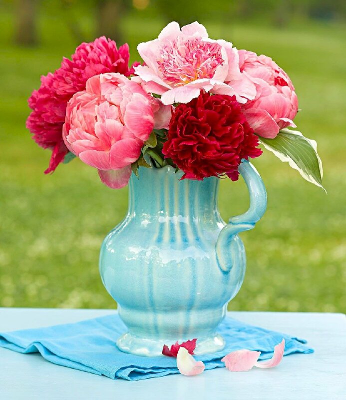 Hình ảnh bình hoa mẫu đơn xinh xắn dễ thương