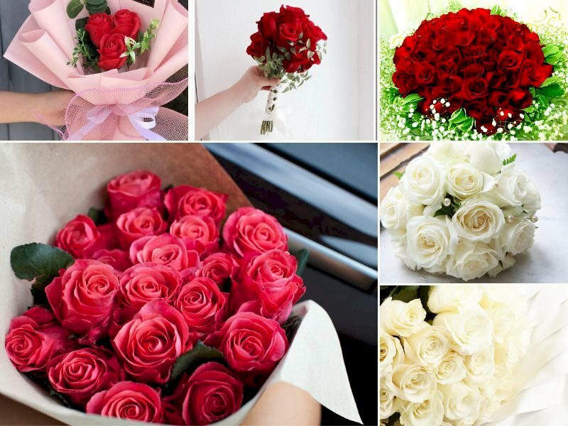 101 Hình ảnh bó hoa hồng đẹp nhất, tải miễn phí