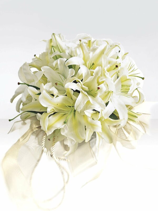 Hình ảnh bó hoa loa kèn trắng đẹp nhẹ nhàng, tinh khôi